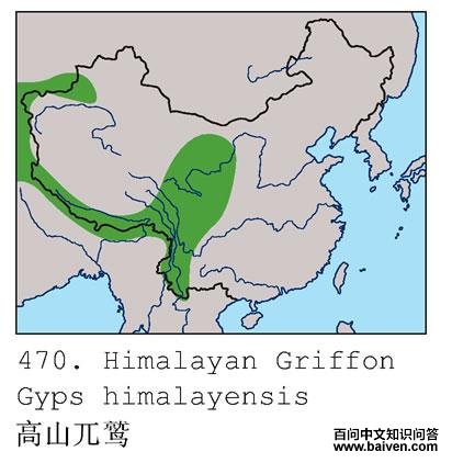 ��ɽأ�յĵ����ֲ�ͼ