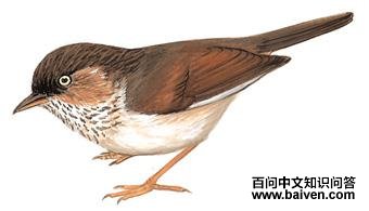 ��ɽȸ�̵�ͼ��