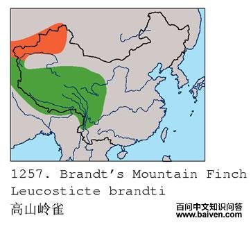 ��ɽ��ȸ�ĵ����ֲ�ͼ