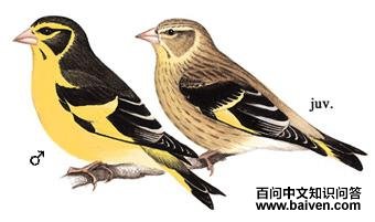 ��ɽ���[ȸ]��ͼ��