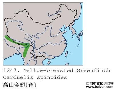 ��ɽ���[ȸ]�ĵ����ֲ�ͼ