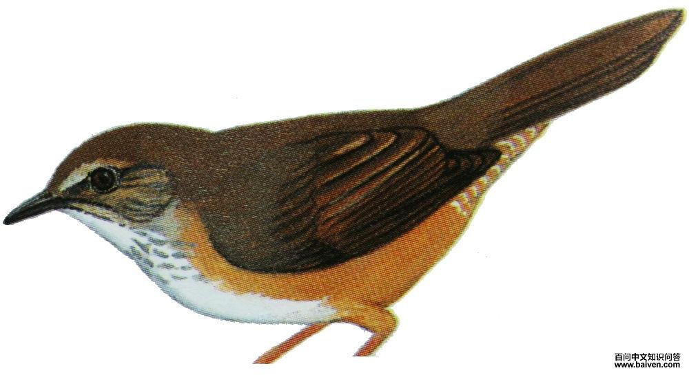 ��ɽ�̳�ݺ��ͼ��