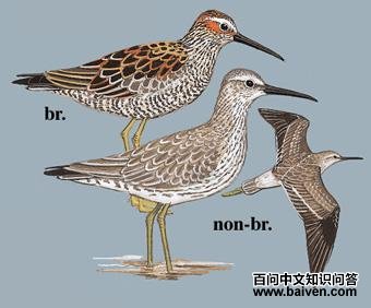 �����ֵ�ͼ��