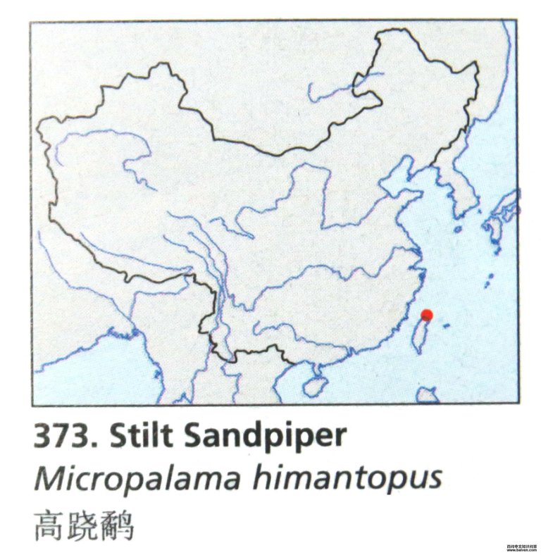 �����ֵĵ����ֲ�ͼ