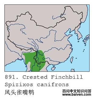 ��ͷȸ���ǵĵ����ֲ�ͼ