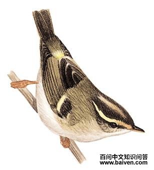 ����[����]��ݺ��ͼ��