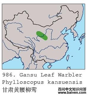 ����[����]��ݺ�ĵ����ֲ�ͼ