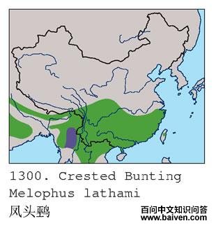 ��ͷ�c�ĵ����ֲ�ͼ