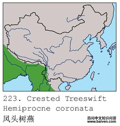 ��ͷ����ĵ����ֲ�ͼ