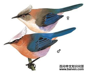 ��ͷȸݺ��ͼ��