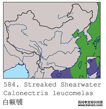 �׶��׵ĵ����ֲ�ͼ