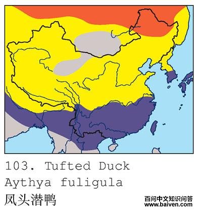 ��ͷǱѼ�ĵ����ֲ�ͼ