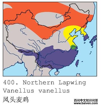 ��ͷ�󼦵ĵ����ֲ�ͼ