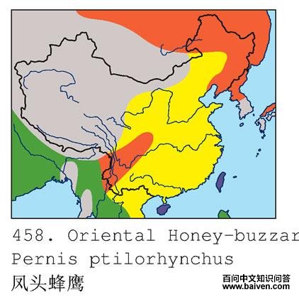 ��ͷ��ӥ�ĵ����ֲ�ͼ