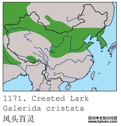 ��ͷ����ĵ����ֲ�ͼ