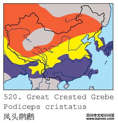 ��ͷ�����ĵ����ֲ�ͼ