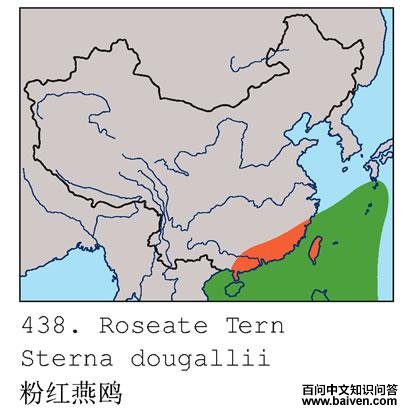 �ۺ���Ÿ�ĵ����ֲ�ͼ