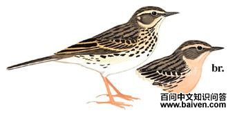 �ۺ����ҵ�ͼ��