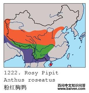 �ۺ����ҵĵ����ֲ�ͼ