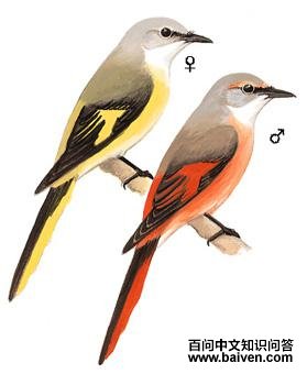 �ۺ�ɽ�����ͼ��