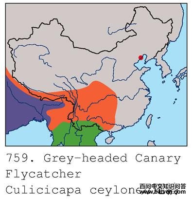 ��β�l�ĵ����ֲ�ͼ