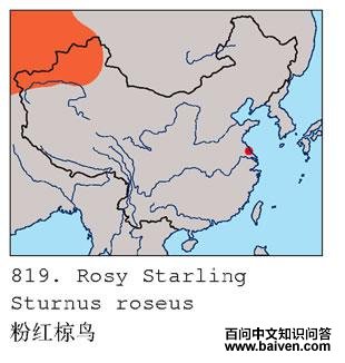 �ۺ����ĵ����ֲ�ͼ