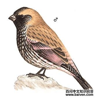 �ۺ츹��ȸ��ͼ��