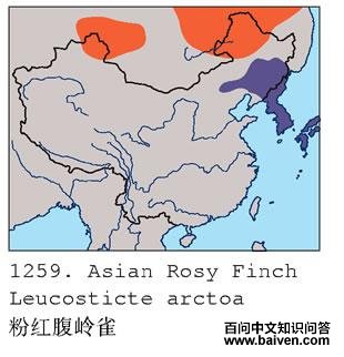 �ۺ츹��ȸ�ĵ����ֲ�ͼ