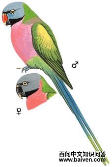 ������ĵ�ͼ��