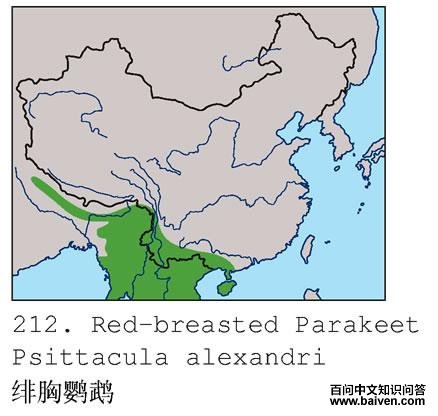 ������ĵĵ����ֲ�ͼ