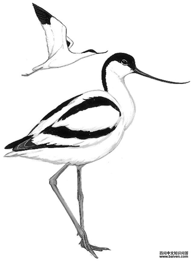 �����ֵ�ͼ��