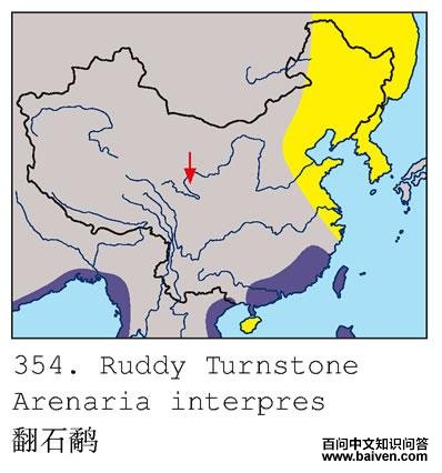 ��ʯ�ֵĵ����ֲ�ͼ