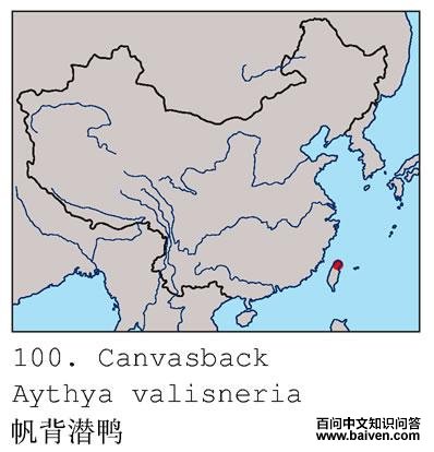 ����ǱѼ�ĵ����ֲ�ͼ