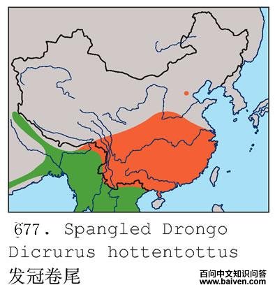 ���ھ�β�ĵ����ֲ�ͼ