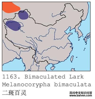 ���߰���ĵ����ֲ�ͼ