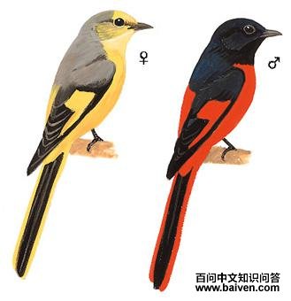 ����ɽ�����ͼ��