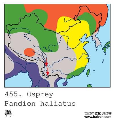 �ʵĵ����ֲ�ͼ