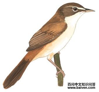 �۳�[����]έݺ��ͼ��