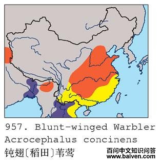 �۳�[����]έݺ�ĵ����ֲ�ͼ