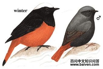 �׶�Ϫ��ͼ��