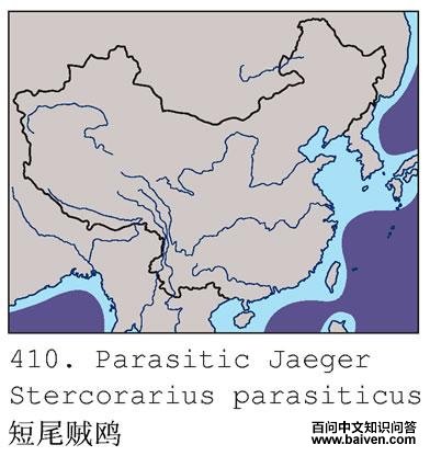 ��β��Ÿ�ĵ����ֲ�ͼ