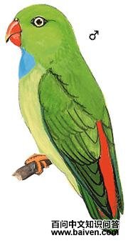 ��β���ĵ�ͼ��