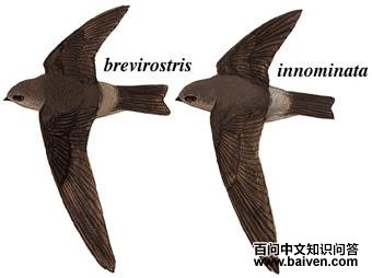 �����˿���ͼ��