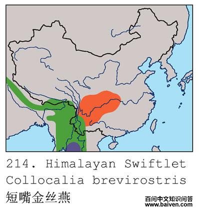 �����˿��ĵ����ֲ�ͼ