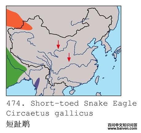 ��ֺ��ĵ����ֲ�ͼ