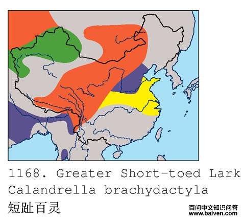 ��ֺ����ĵ����ֲ�ͼ