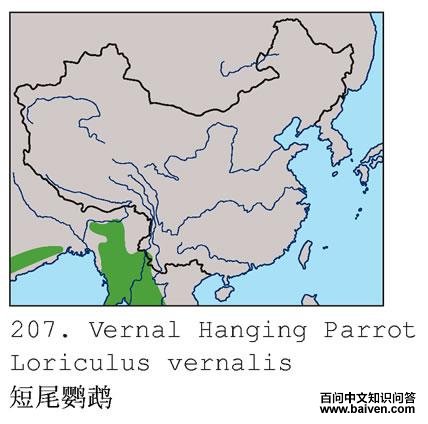 ��β���ĵĵ����ֲ�ͼ