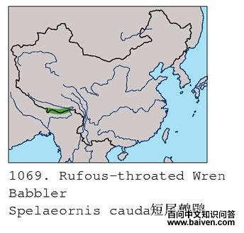 ��β���̵ĵ����ֲ�ͼ