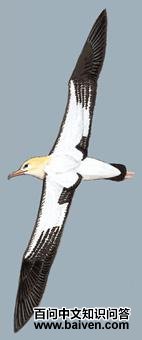 ��β�����̵�ͼ��