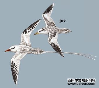 ��β�s��ͼ��